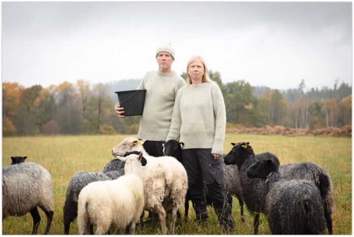 Sex får, två vita och fyra grå. En man och en kvinna i varsin beige stickad tröja. Mannen har även en stickad mössa. Allt från Sätila. Alla står i en hage. Det är höst och lite dimmigt.